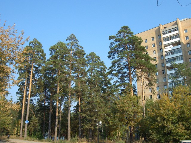 Хочу в Россию.