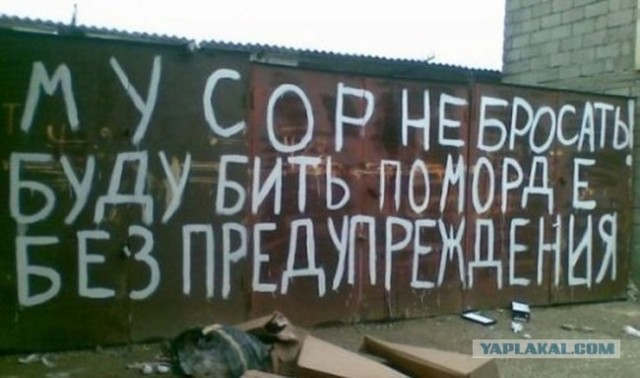 Креативное объявление о потере зачетки