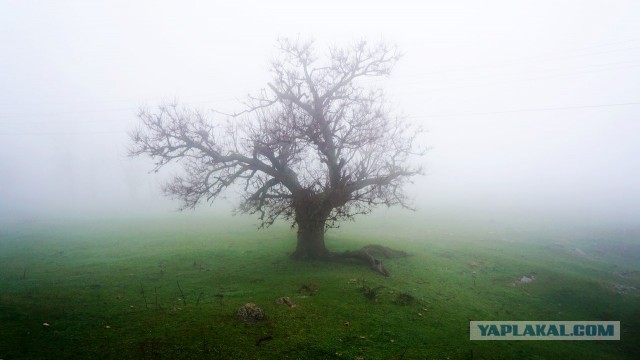 Дикарями в Дагестан, апрель 2015 г.