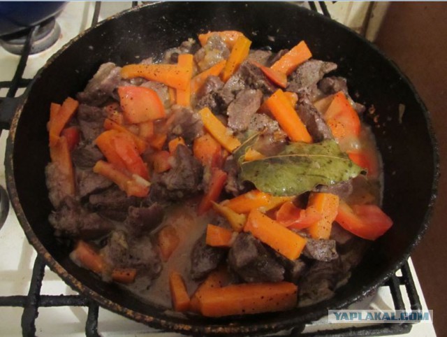 Знак не врет!