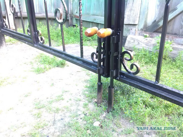 Ворота с элементами  ковки