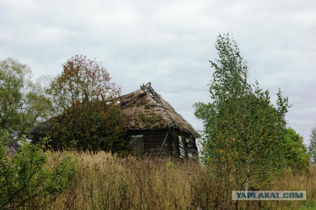 Поиск родственников