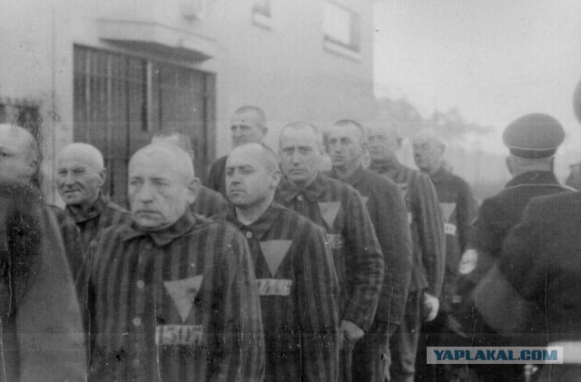 Коммунисты предлагают сажать на 15 суток