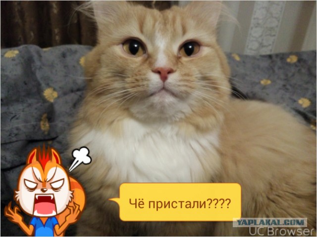 Вот такое чудо пришло к нам на работу