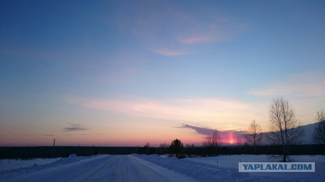 Я узнал, что у меня есть огромная семья