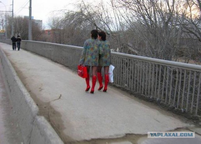 Веселые картинки
