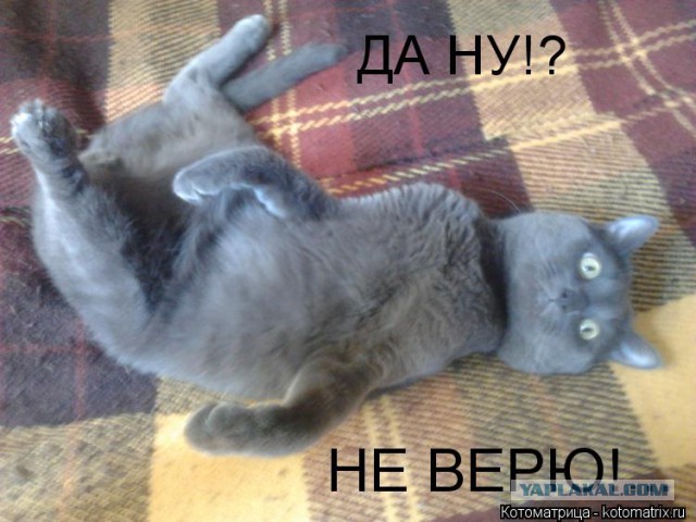 Биатлон. Межсезонье.