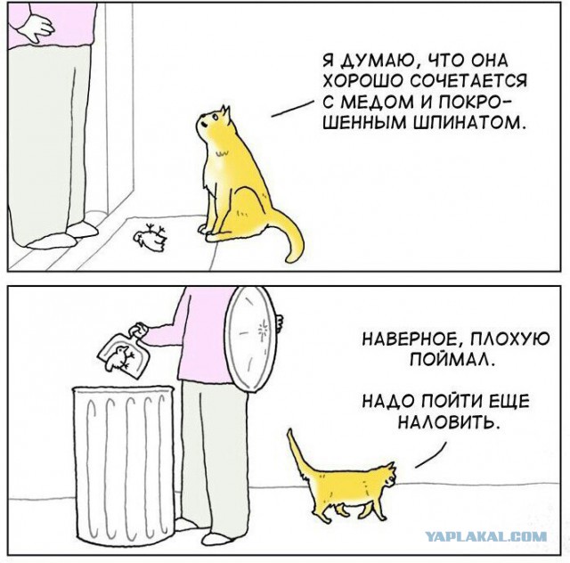 33 картинки упоротого арта