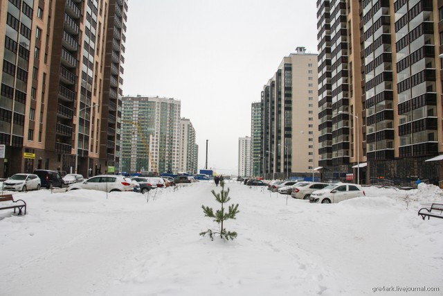 Новые пригороды Петербурга (всё плохо)