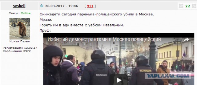 Мирный протест говорите?