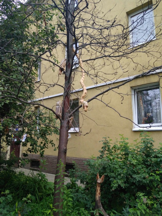 Летний Калининград