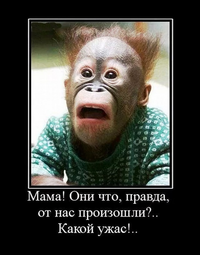 В швейных войcках Казахстана объявлен ДМБ