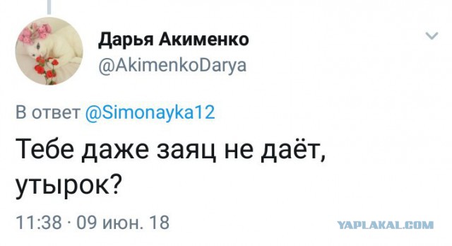 Сборная солянка из смешных картинок на субботу