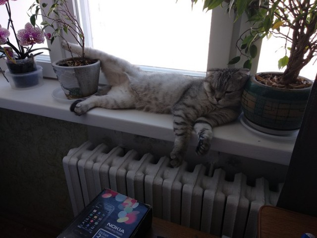 Околонаучный юмор