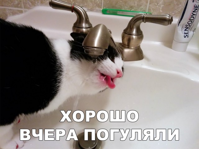 Нестандартный юмор