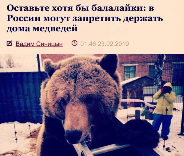 Анекдоты, соц-сети и картинки с надписями
