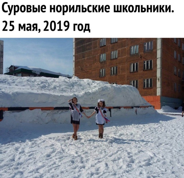 Подборка интересных и веселых картинок 28.05.19