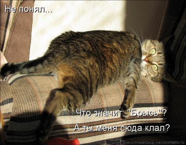Немного картинок для настроения