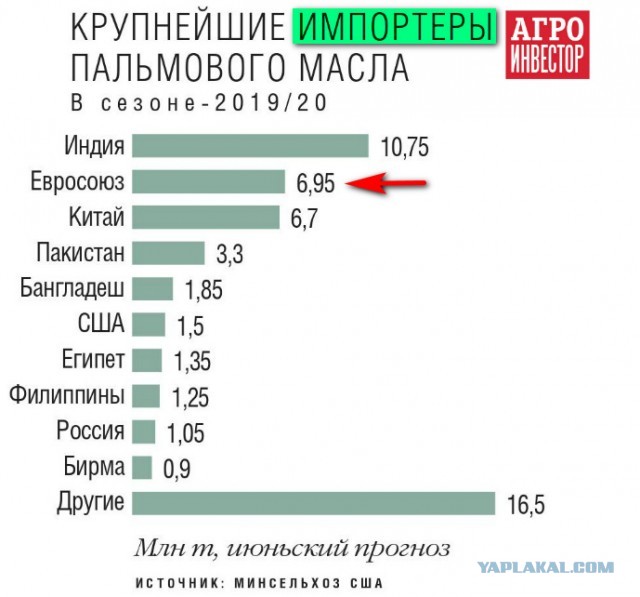 Сыр подмосковных сыроваров из Королева получил «Золото» на сырном «Оскаре» в Италии