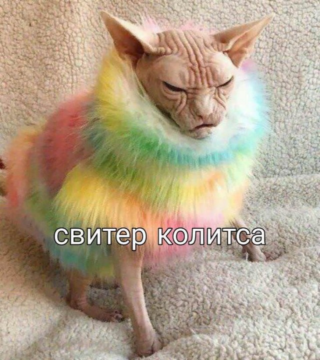 Кретинки