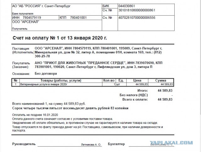 Помогите вернуть кота! Приют "Преданное сердце" украл кота и не отдает!-2