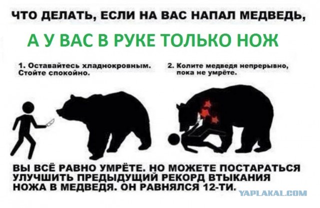 Мог бы в этот день миллион в лотерею выиграть, но пошёл в тайгу