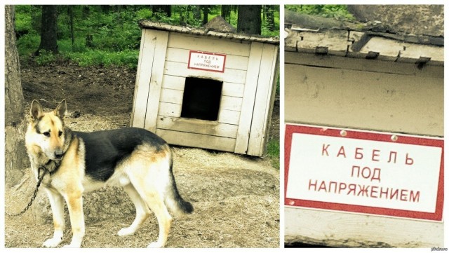 Электробудка, переменный ток