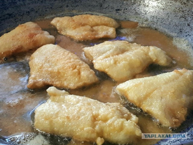 Жаренный берш с медово-огуречным соусом.