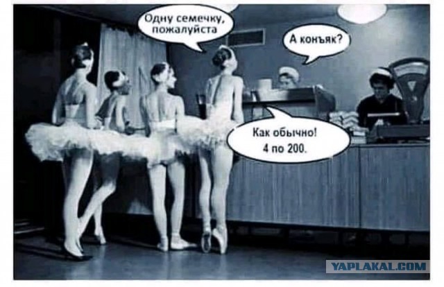 Бредзона 21.08.2020