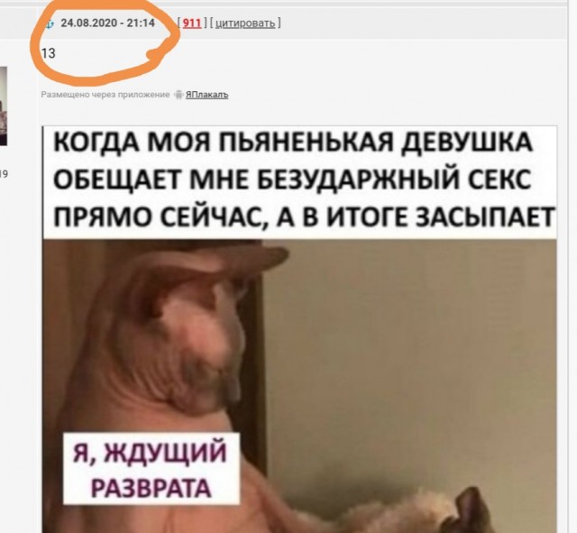 Бредзона 25.08.2020