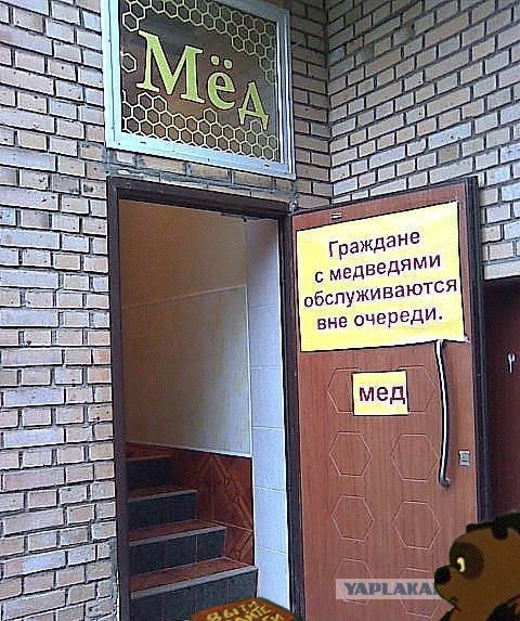 Фотожаба: Хочешь меда - бери с собой медведя
