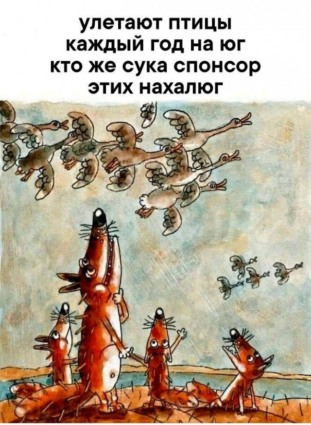 Баянисто-небаянистый юмор. 22.09.20