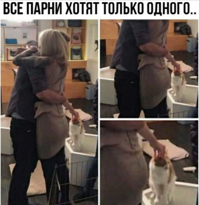 Пятница. И немного слегка пошлых картинок с надписями и без 16+ (11.12)