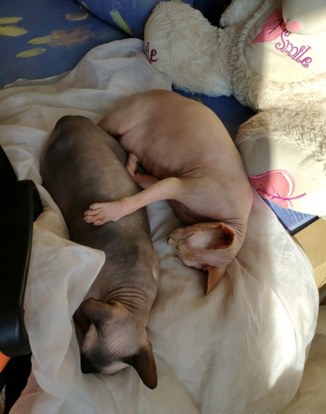 Моя красотка