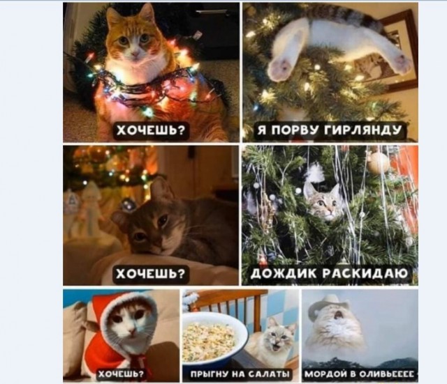 Картинки и мемы для настроения 028