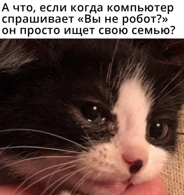 Картинки с надписями и всякие жизненные фразы 16.1.21