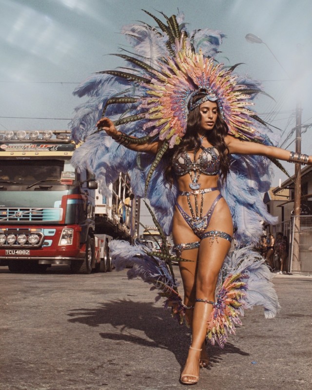 Карнавальных птичек пост