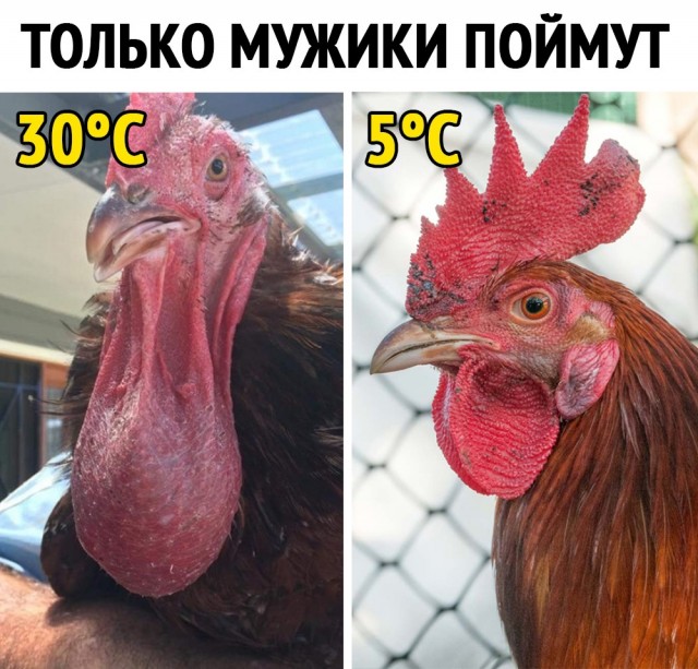 Так себе картинки 12.05.21