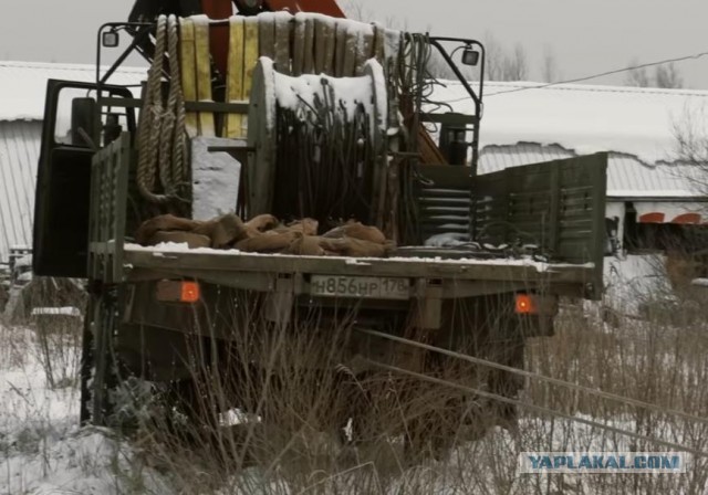Не смог найти повреждений
