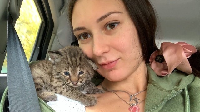 Жестокое нападение рыси на человека +18