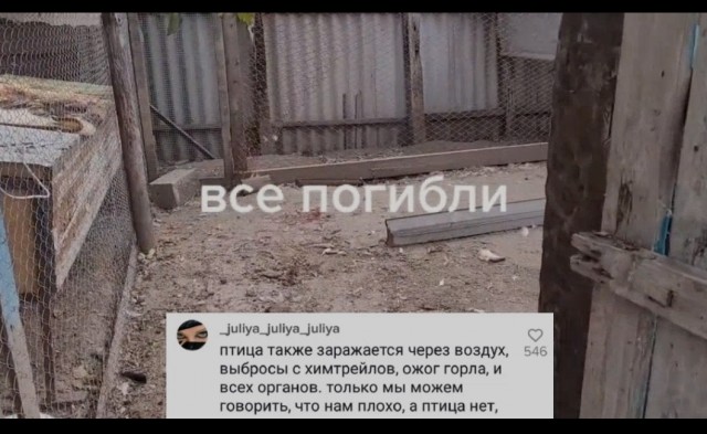 Зомби-апокалипсис 2022