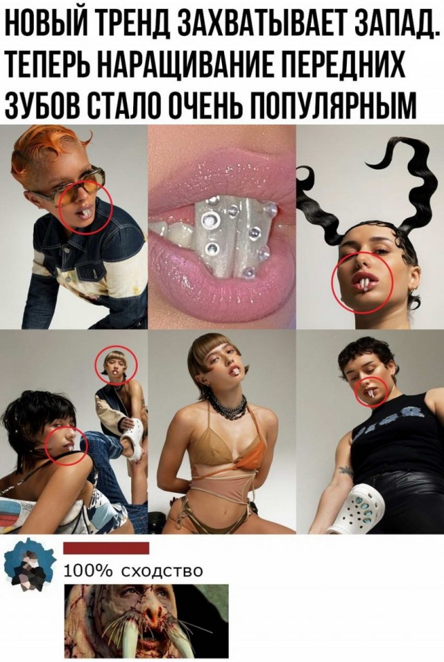 Картинки и мемы для настроения 23.11.2021