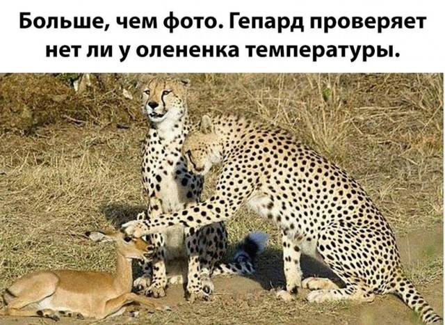 Так себе картинки 09.12.21