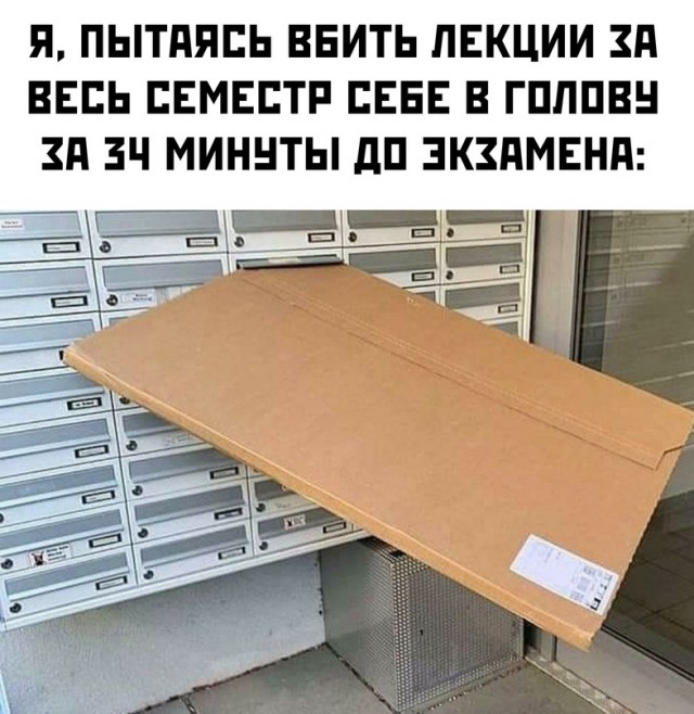 Весёлый полтишок 16.12