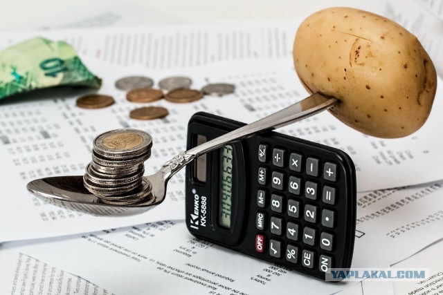 Почему люди соглашаются работать за копейки?