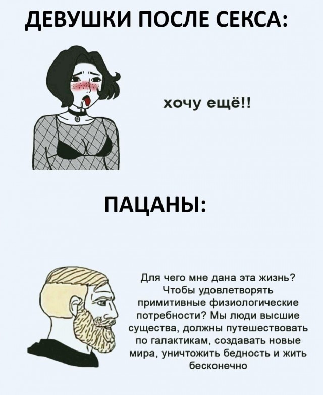 Баянисто-небаянистый юмор 7.02.22