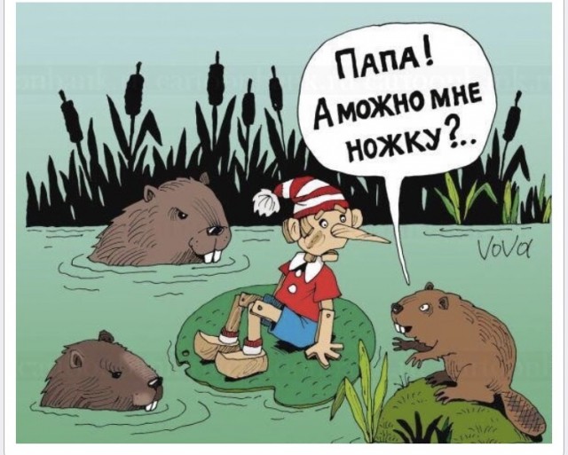 Забавные шутки, фразы, картинки из этих ваших интернетов