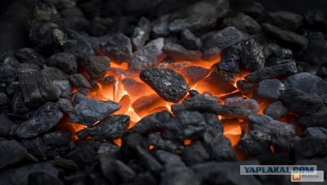 Польша планирует в апреле или мае полностью отказаться от российского угля