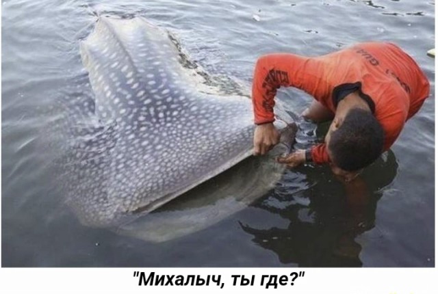 Немного картинок и прочей хреноты Vol. 8