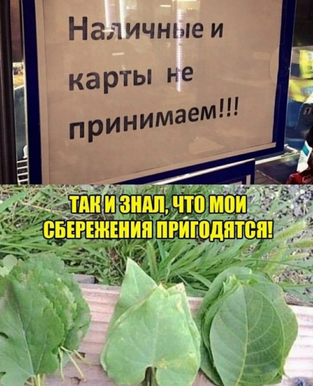 Так себе картинки 12.05.22